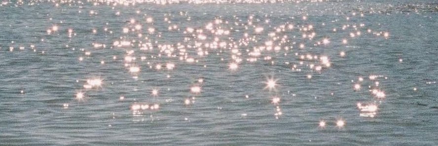 david pallarés banner