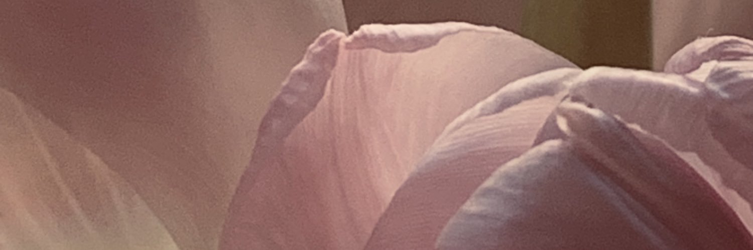 HiyaEmLove's profile banner image