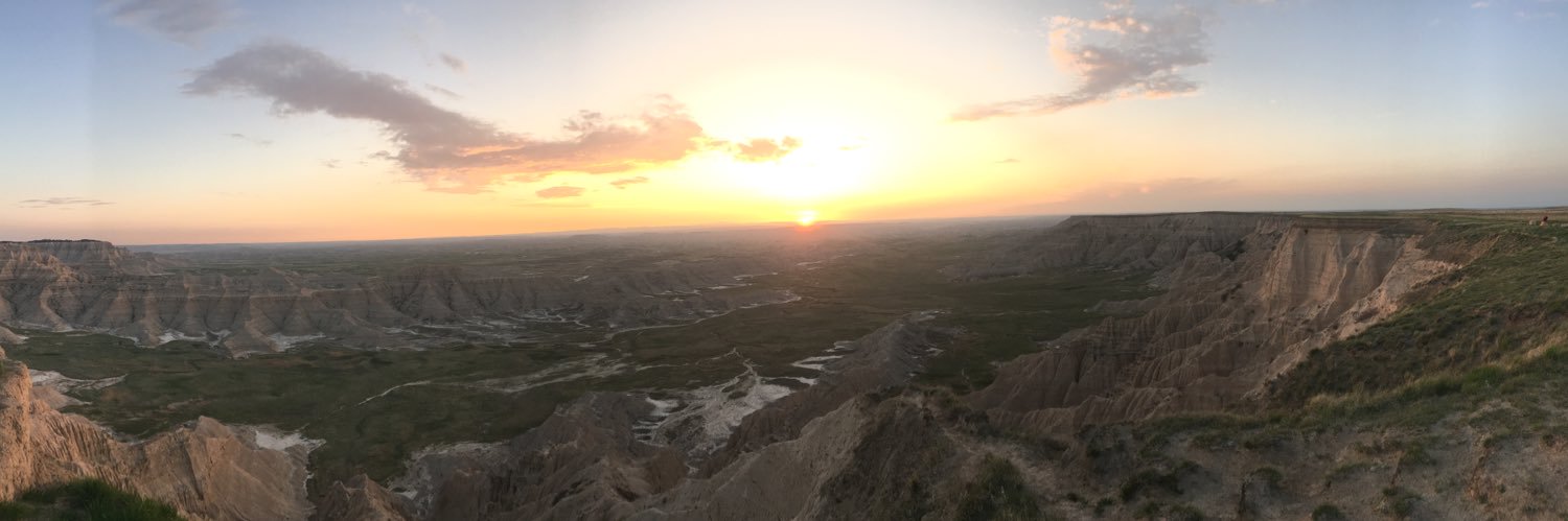 Lipscomb Savage banner