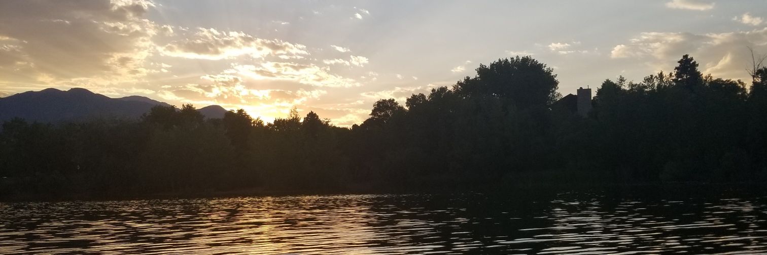 vdubmatt95's profile banner image