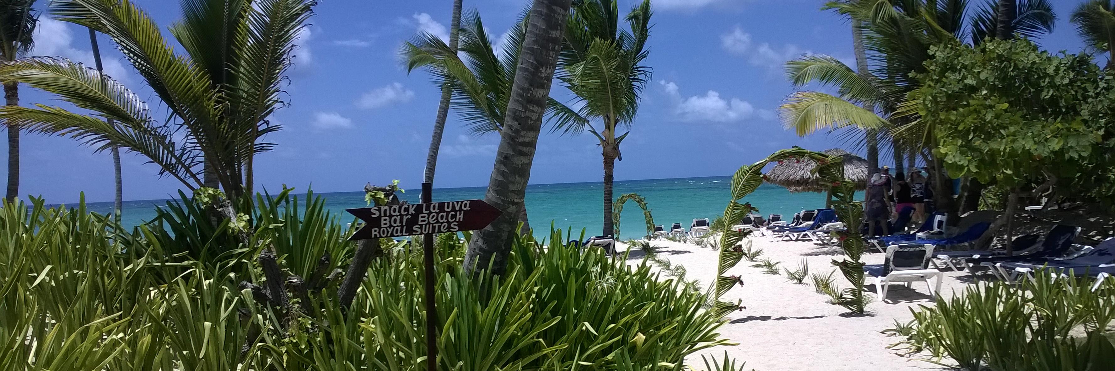 bitcoingier's profile banner image