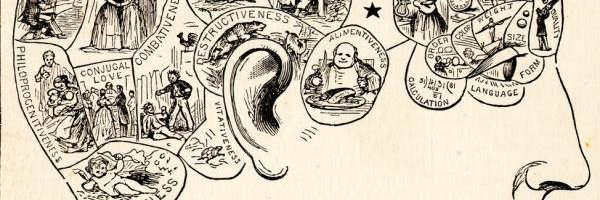 mindfact_id's profile banner image