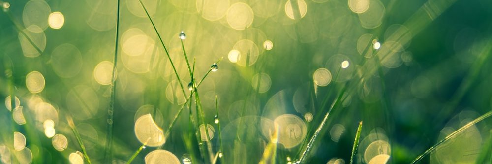 HelenWells9's profile banner image