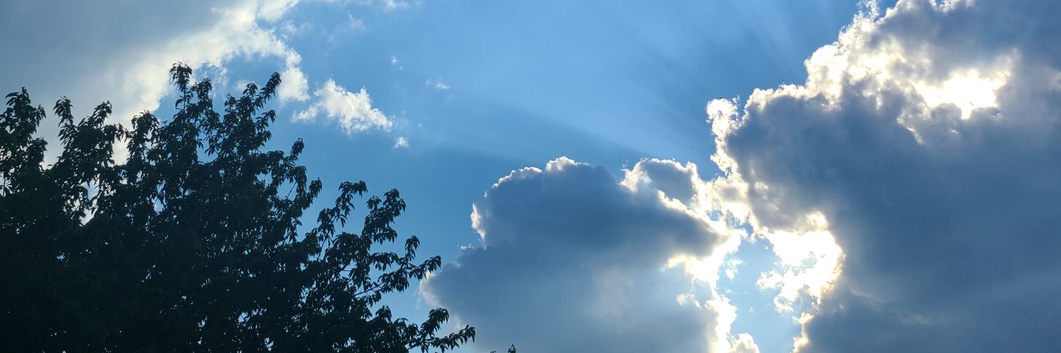prissymitzi's profile banner image