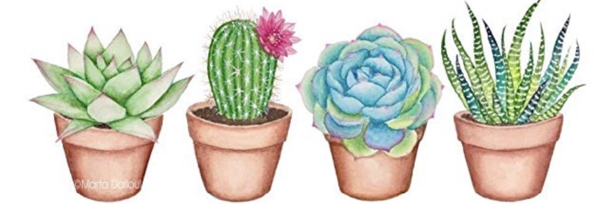 bdesxox's profile banner image