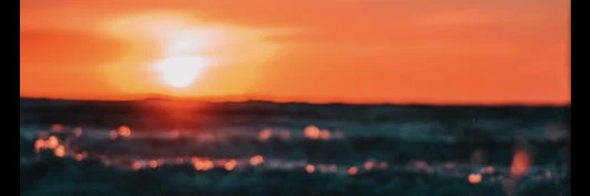 collie_bae's profile banner image