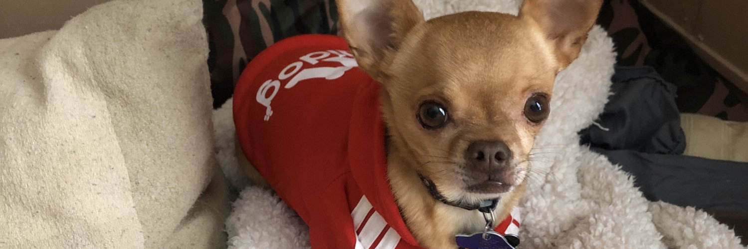 Bailey Timmons banner