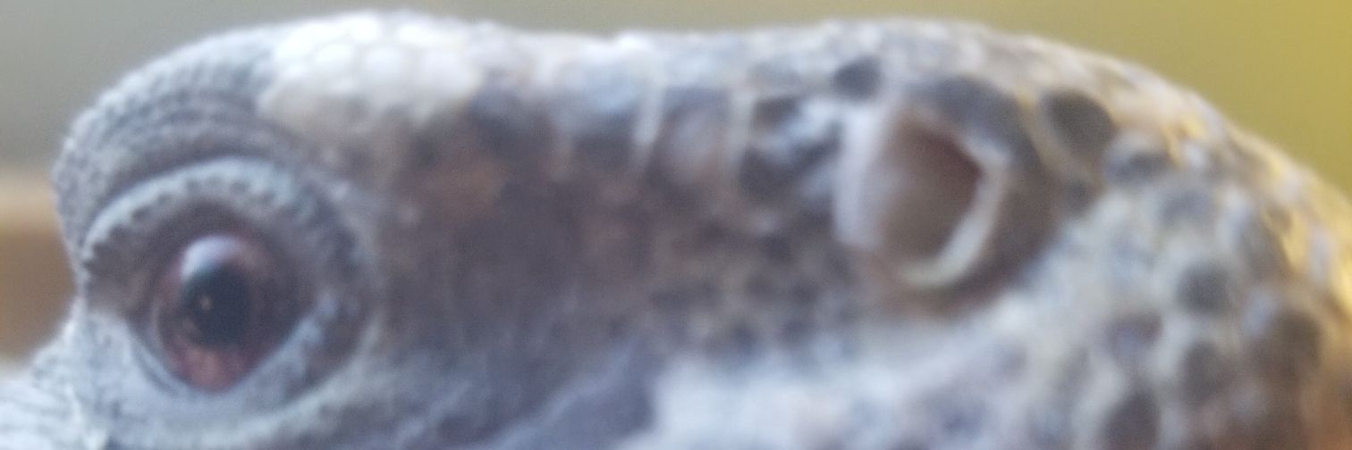 ST0RMW1NG's profile banner image