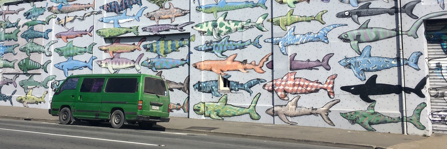 Tyler O'Keefe banner