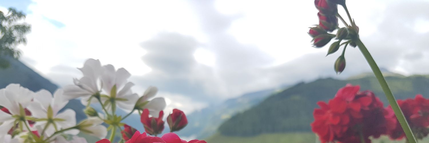 abuhamadd95's profile banner image