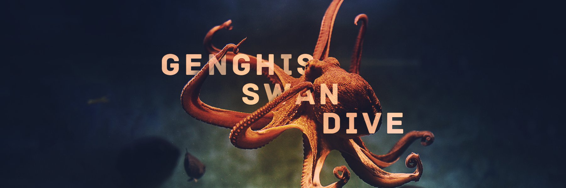 GenghisSwanDive's profile banner image