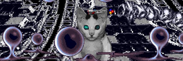 kirbcatt Profile Banner
