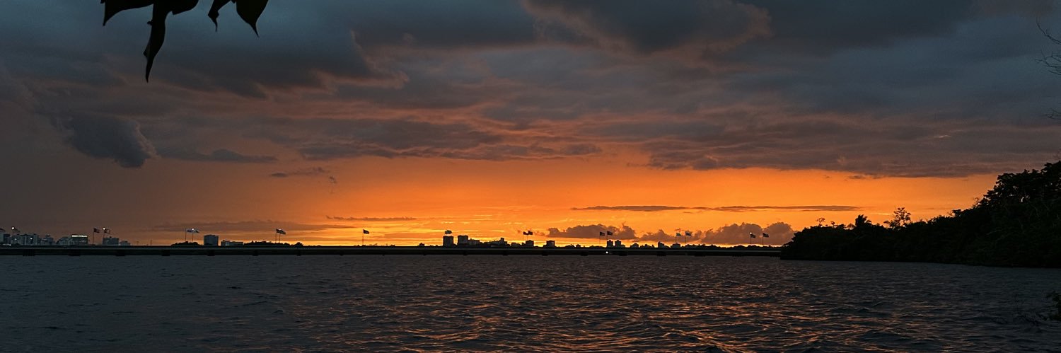 Raúl banner