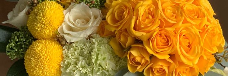 HarbiHadeel's profile banner image