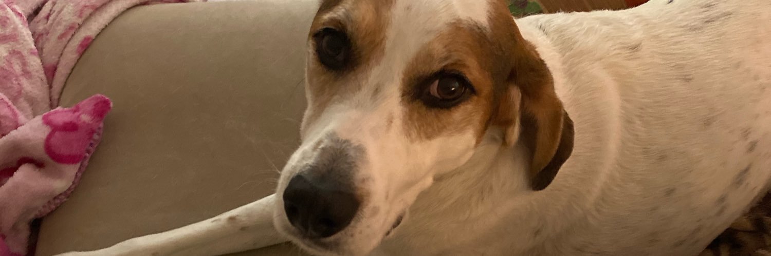 spitfireholly's profile banner image