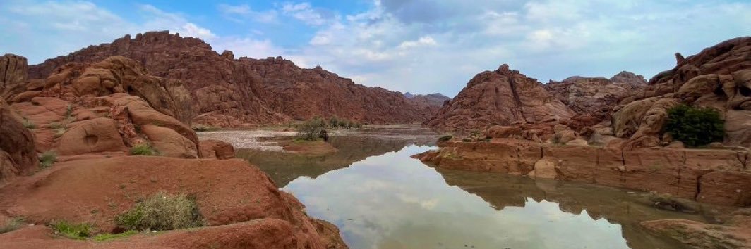 Suliman_alatwi banner