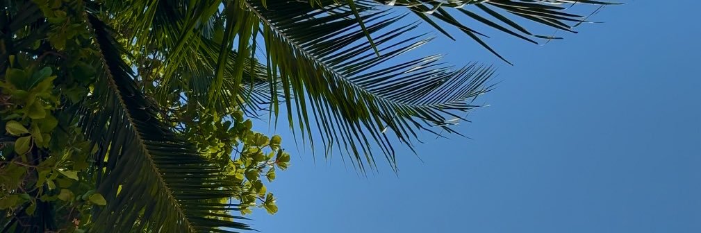 roldanarguedas's profile banner image