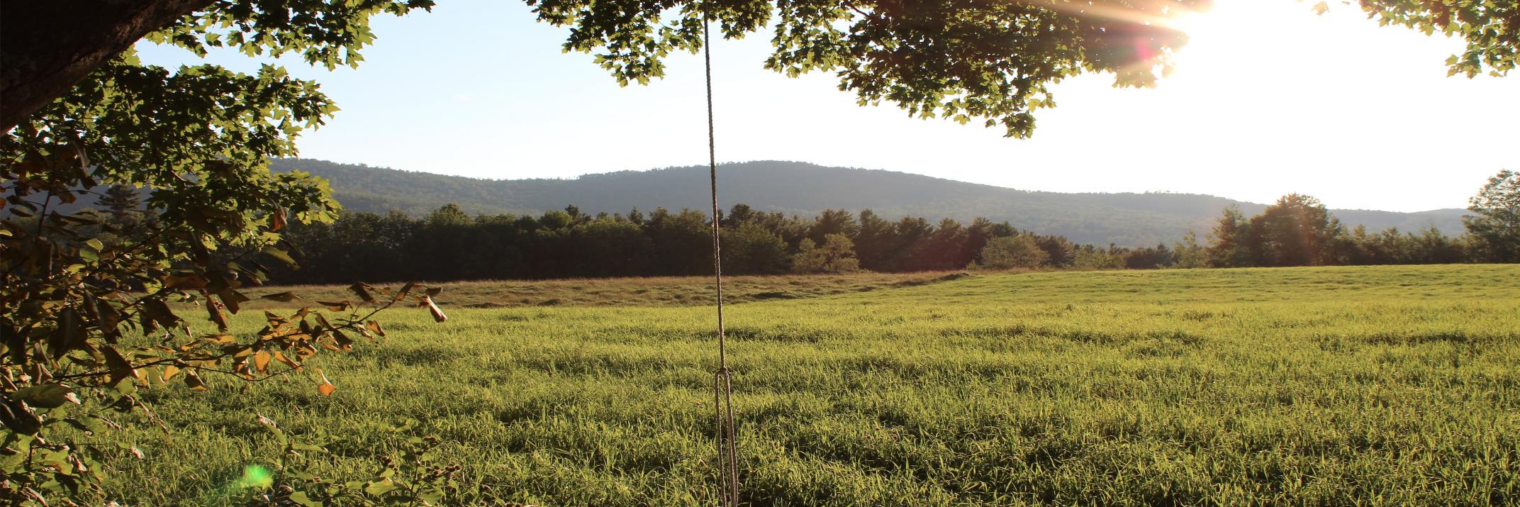 JoeGreaneyMusic's profile banner image