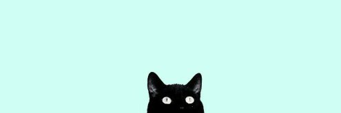 ♥ banner