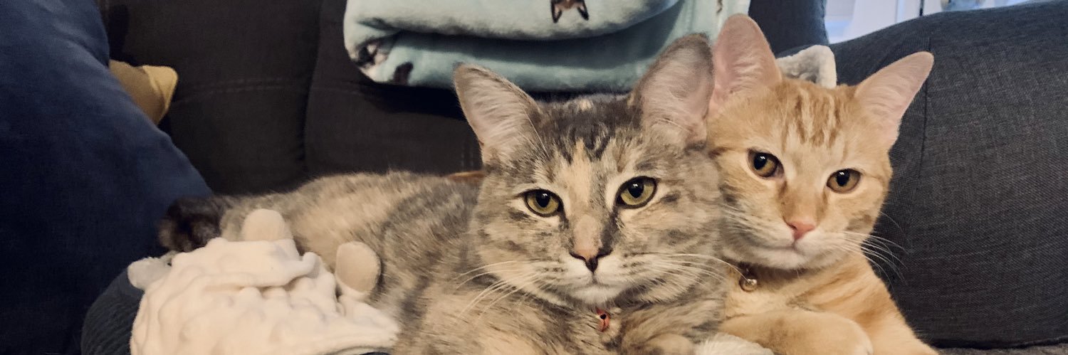 dlira11's profile banner image