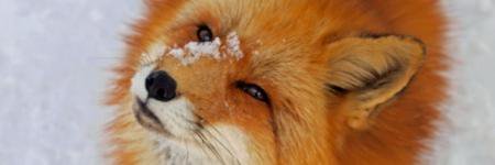 herokoe37's profile banner image