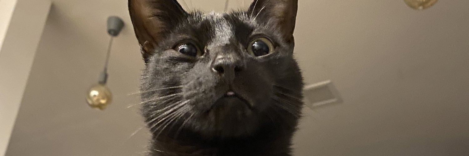 raphasivinski's profile banner image