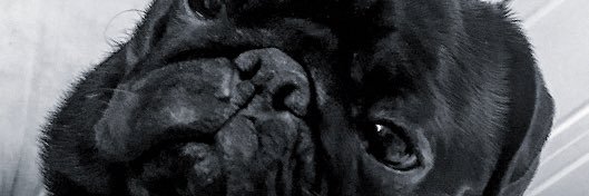 MikeyClown's profile banner image