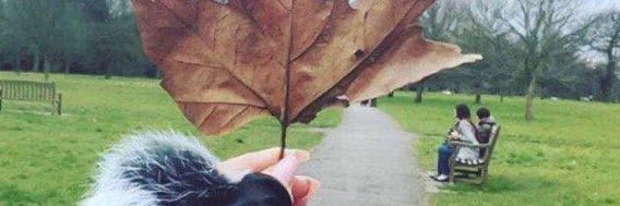 Meeg46441's profile banner image