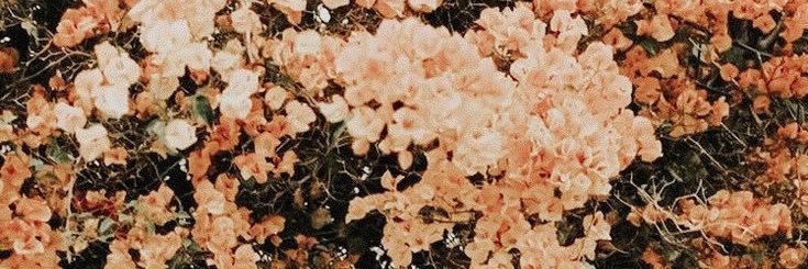 BaileyNielson's profile banner image
