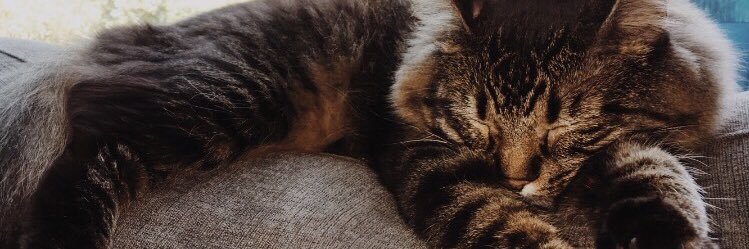 AlexaJadeClark1's profile banner image