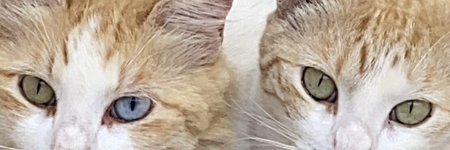 isabelBojeda's profile banner image