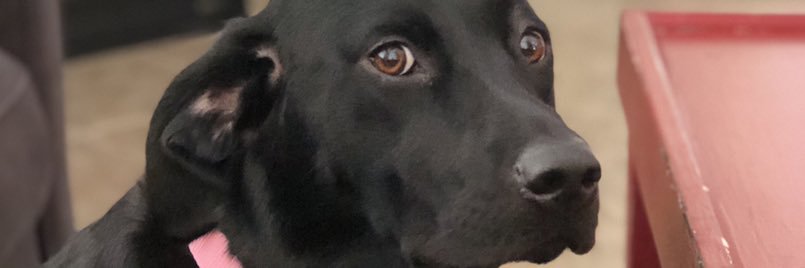 michaelperry200's profile banner image