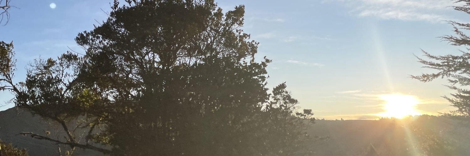 theresentful's profile banner image