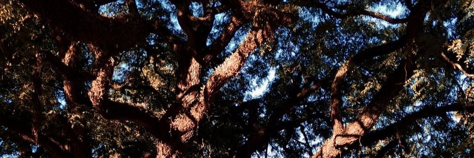 JimeeVega's profile banner image