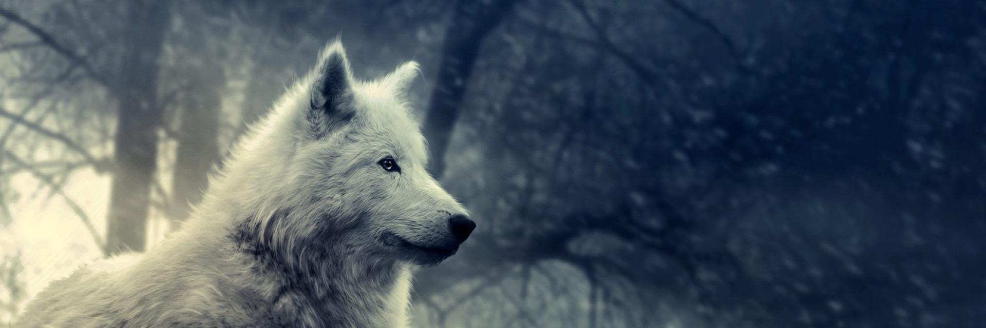 CodyAlanSheets's profile banner image