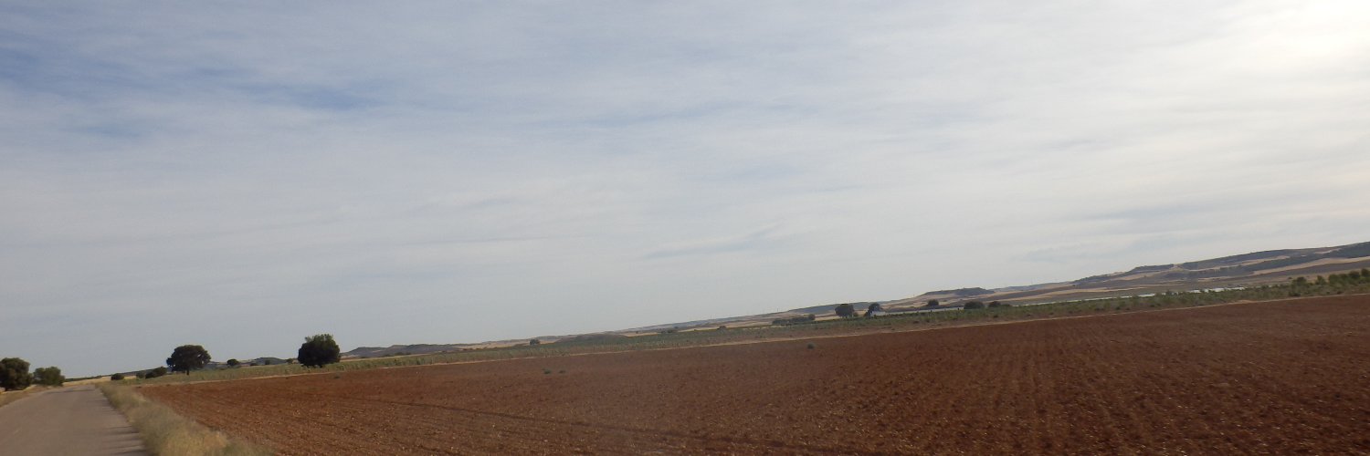 pedrosese12's profile banner image