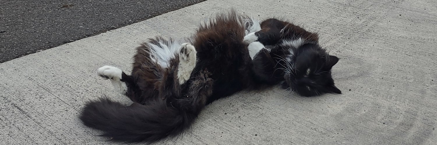 D. W. the Gutless banner