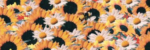 blairemack3's profile banner image