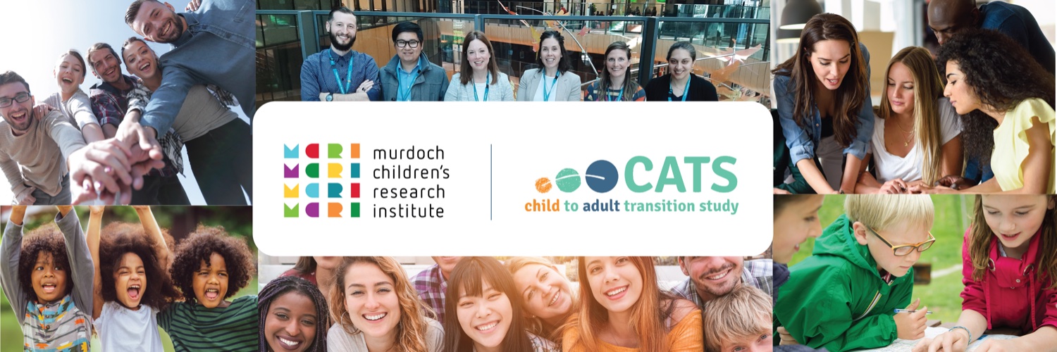 CatsStudy's profile banner image