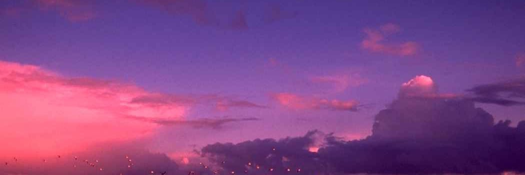 SananasSource's profile banner image