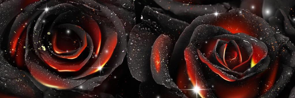 AngelaBascue's profile banner image