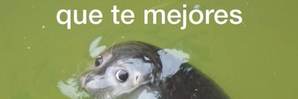 m0stlikelydead's profile banner image