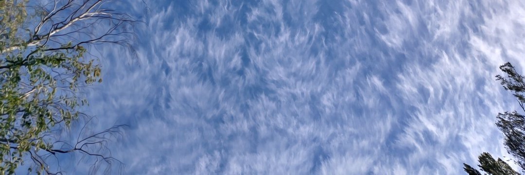 Victor Michel banner