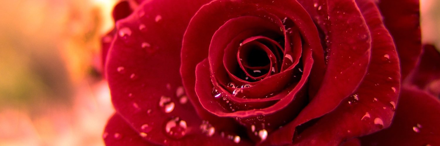 Manal_bzns's profile banner image