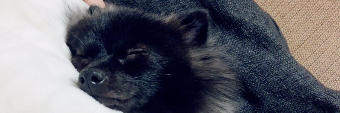 amisukeeeee's profile banner image
