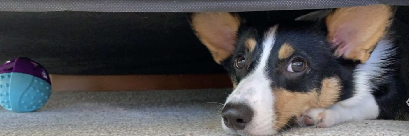 BenayMiller's profile banner image