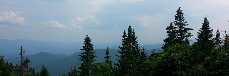 thummel26's profile banner image