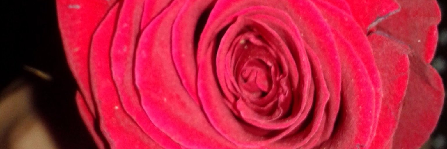 Lulyluly_97's profile banner image