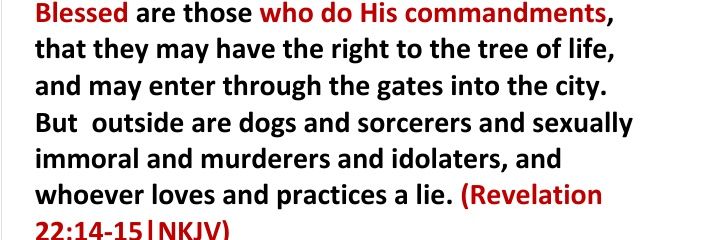 Shava Nematombo banner