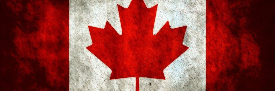 Sachburger's profile banner image